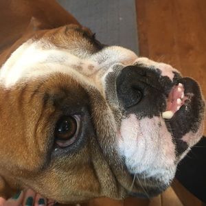 Meet your Posher, Lexi